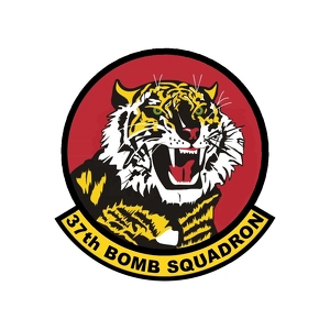 37 BS TIGERS